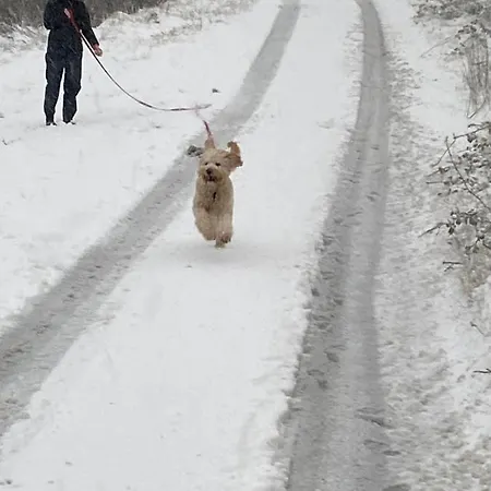 Мини-отель Five Glens Manorhamilton