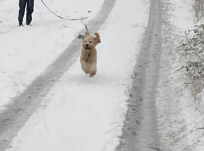 여관 Five Glens -north West Ireland Touring Base Manorhamilton